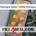 Kamagra Jelly 100Mg Kamagra new11